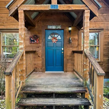 Views 1Br15Bath Pet-Friendly With Hot Tub & Bbq Pigeon Forge Extérieur photo